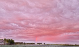 Vörös szivárvány 