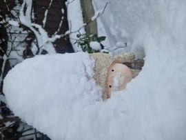 Hahó...egy kis manó! 