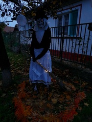 Falunk egyetlen dísze 2.fotó