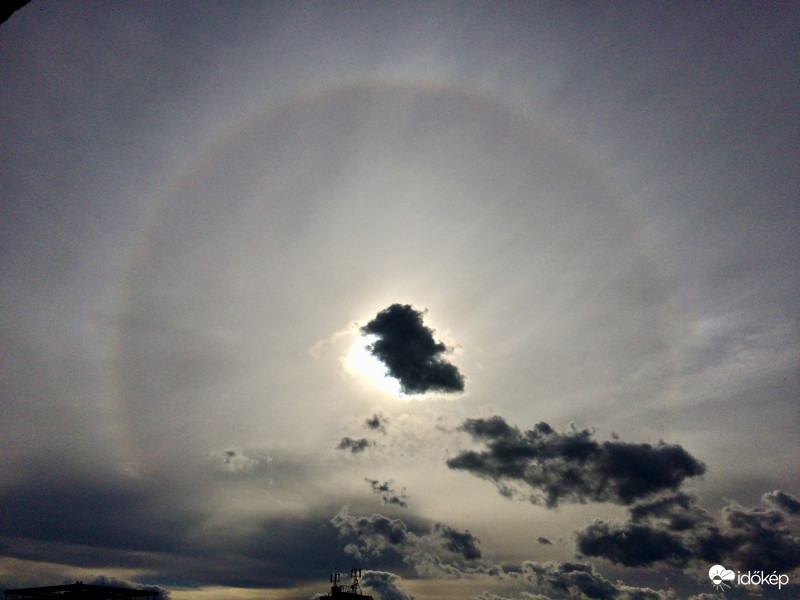Mai halo
