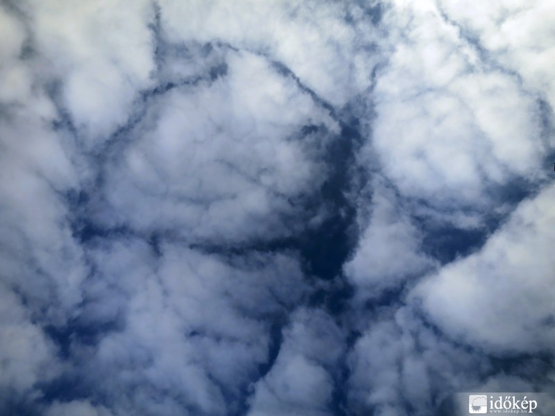 Altocumulus lacunosus