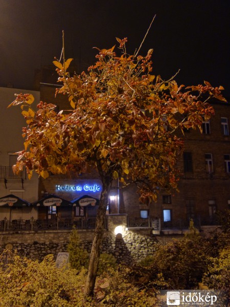 November este