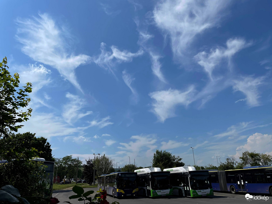 Délutáni szállingók 