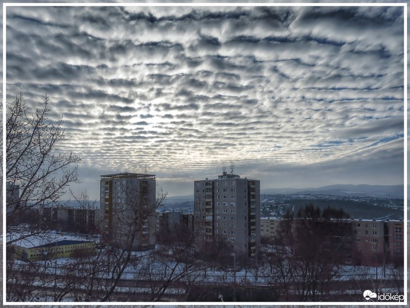 Altocumulus undulatus