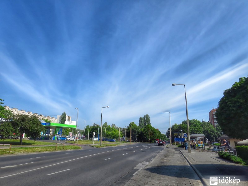 Cirrostratus fibratus