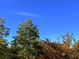 Miskolc