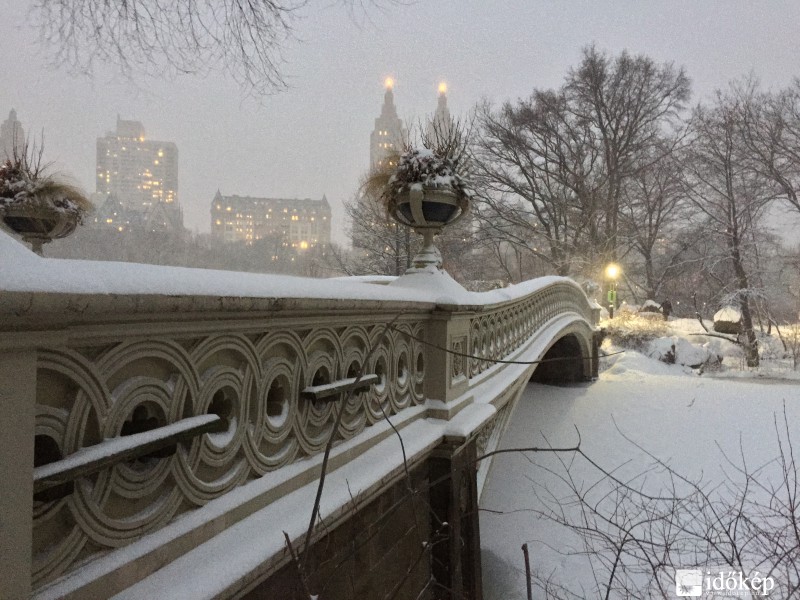 Central park 2015.01.26. 17:21