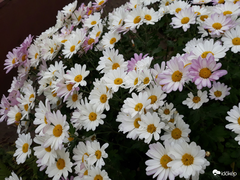 Most múlik pontosan