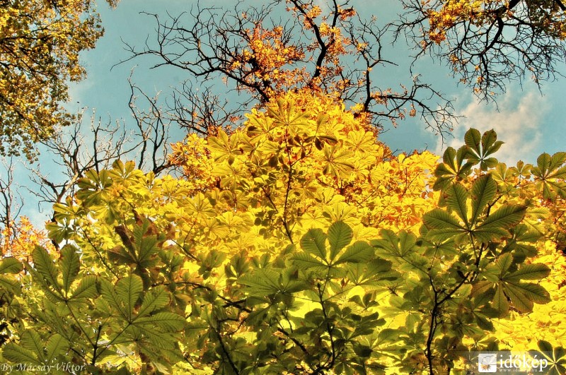 Folyamat, természet leveti ruháját ... 