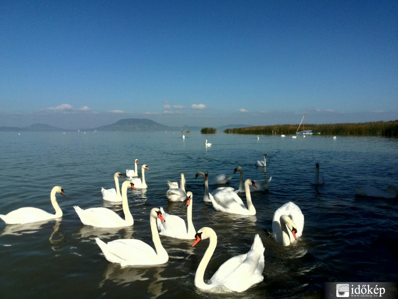 Balatonfenyves
