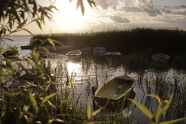 Balatonfenyves