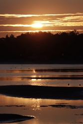 Balatonfenyves