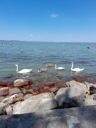 Balatonszabadi