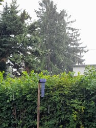 Balatonszabadi