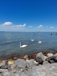 Balatonszabadi
