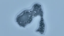 Fraktálok a Naplás-tavon (3)