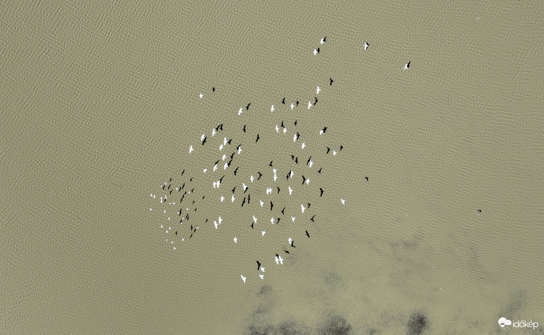 Ahol víz, ott az élet...