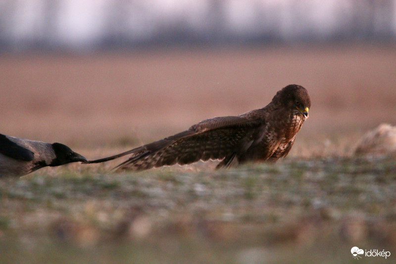 Gyere már el onnan