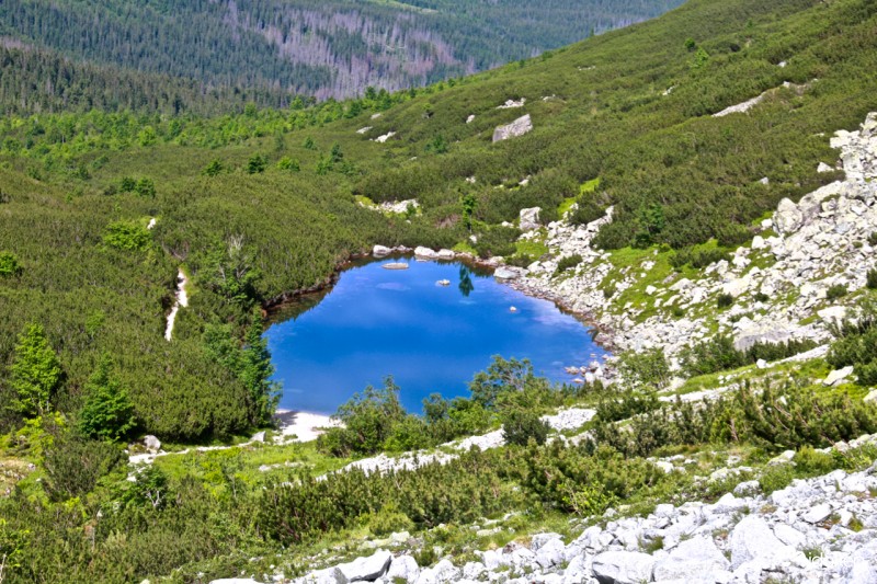 Tengerszem