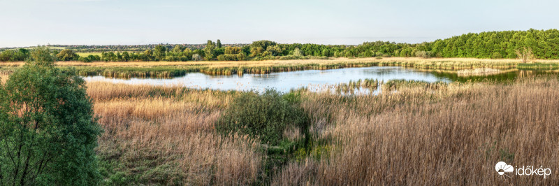 Merzse-mocsár  
