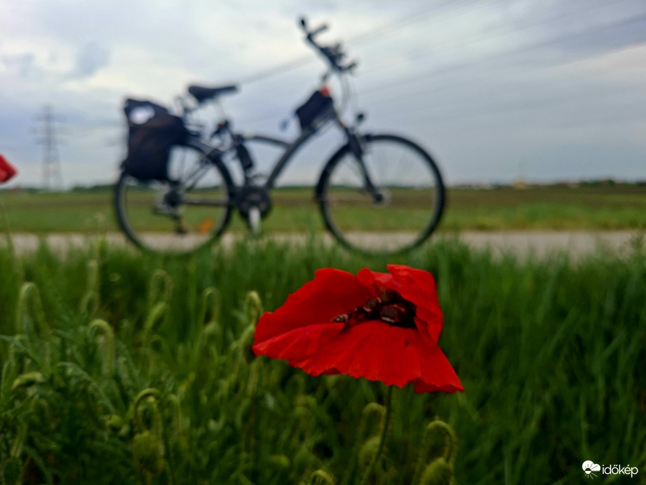 Tiszaújváros