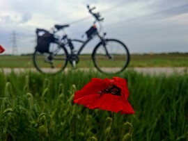 Tiszaújváros