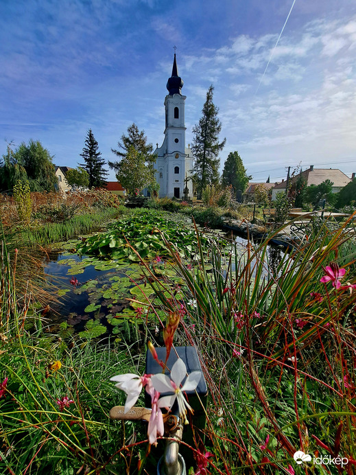 Zalahaláp