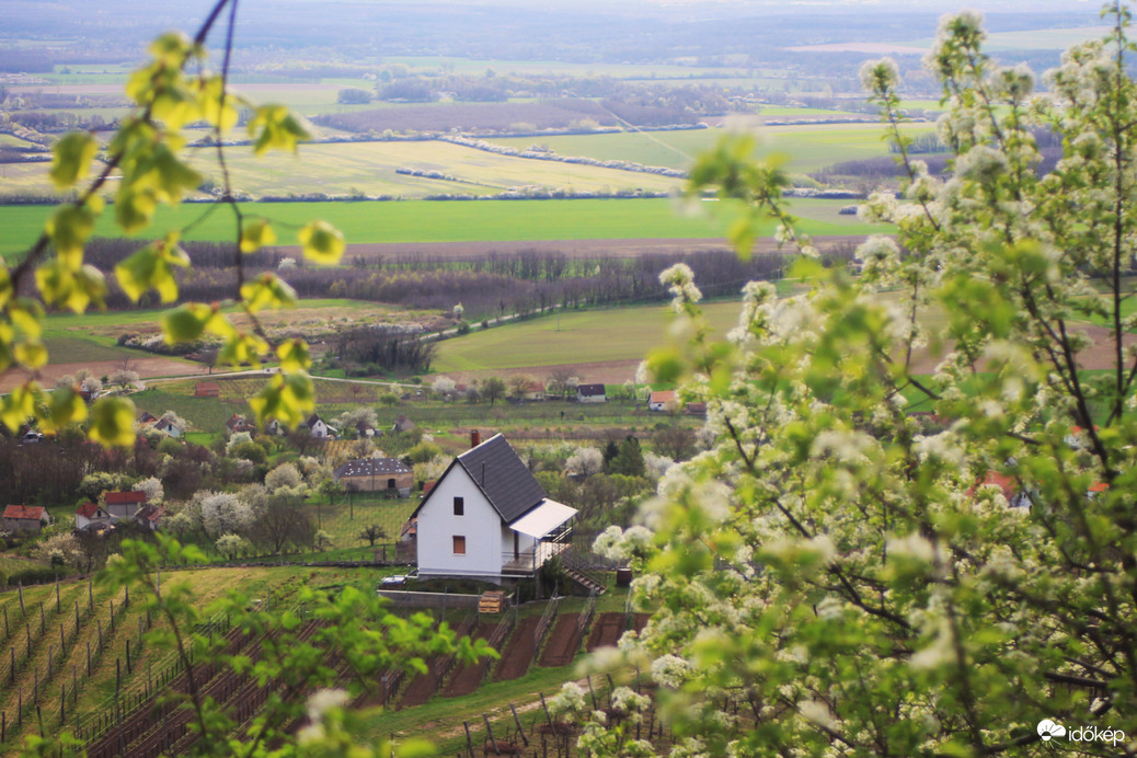 Tavasz ölelésében
