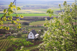 Tavasz ölelésében