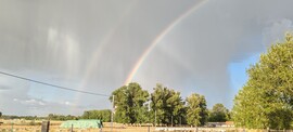 Kiskunhalas