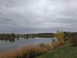 Csesztreg