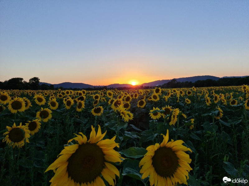 Verőce