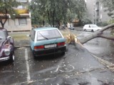 vsf fotója