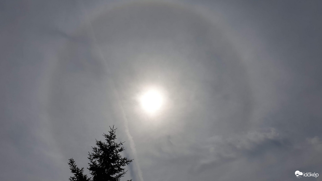 Halo