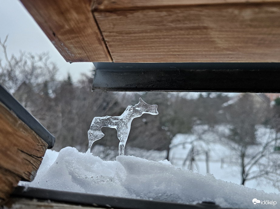 Magyar rénszarvas kukucskált be az ablakomon