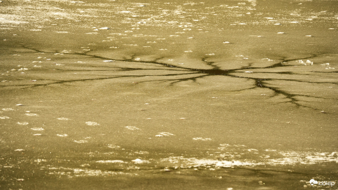 Jégpókok, tavi csillagok