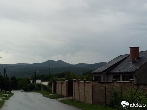 Leléd