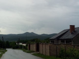 Leléd