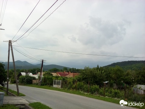 Leléd