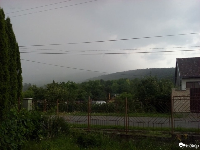 Leléd