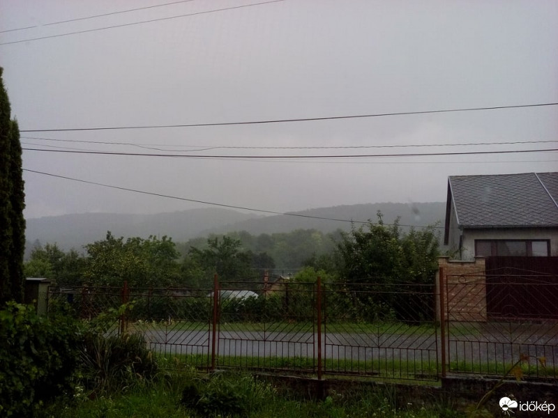 Leléd