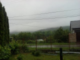 Leléd