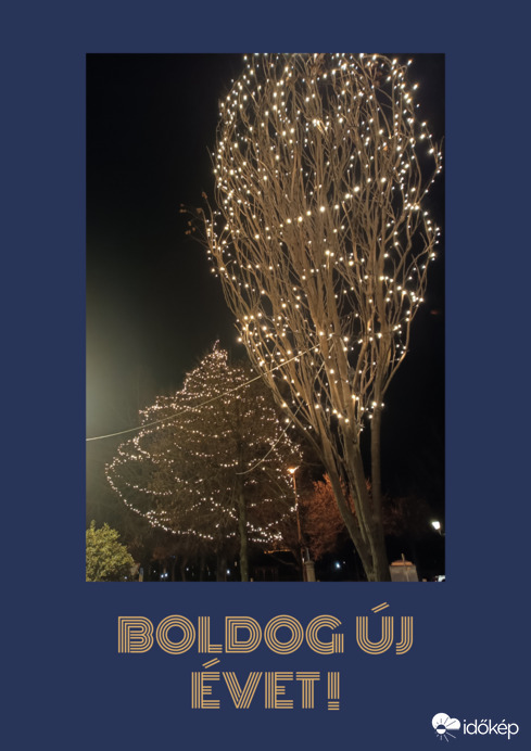 BOLDOG ÚJ ÉVET!