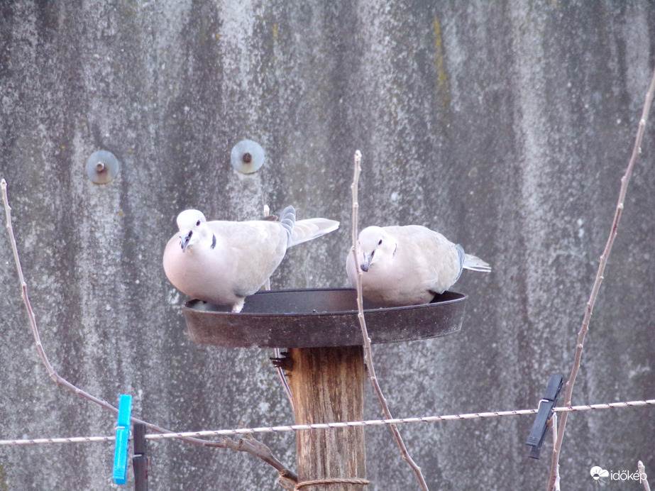 Délutáni eszegetés.