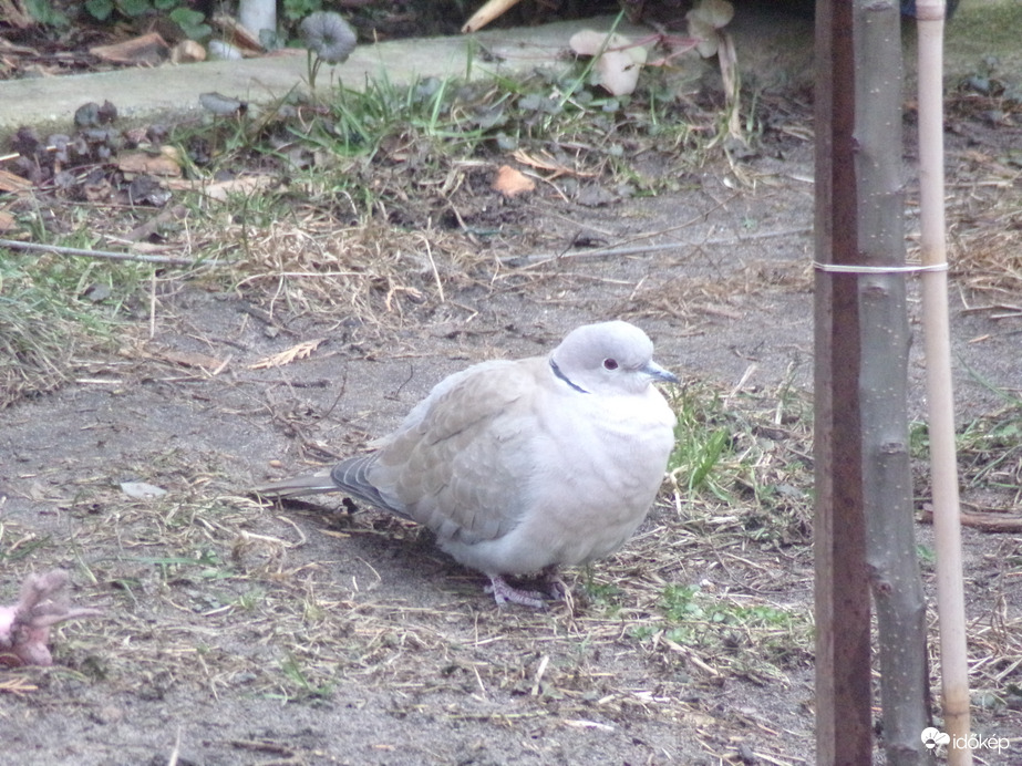 "Várom már a tavaszt!" :)