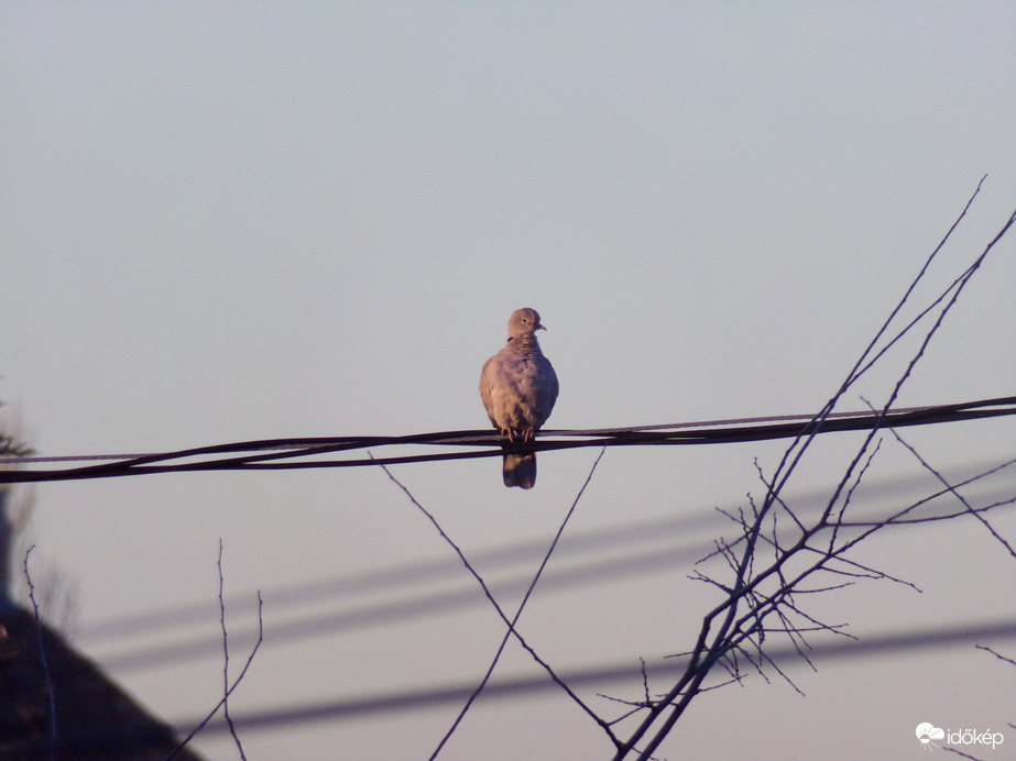 A lemenő nap fényében. - 2