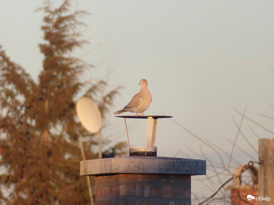 A lemenő nap fényében. - 3