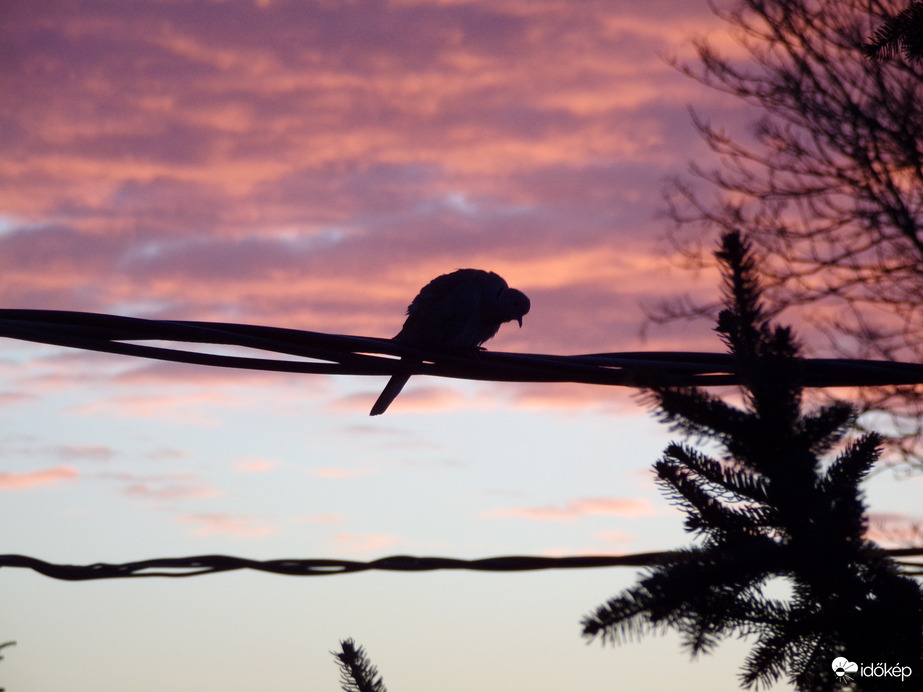 Reggeli pillanatok - 2