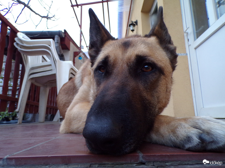 Jó pihenést Mindenkinek! :)