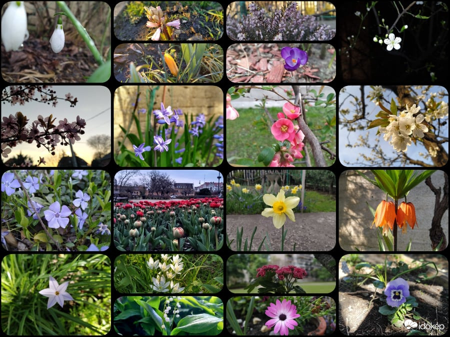 2021 Tavasz - Legszebb pillanatok